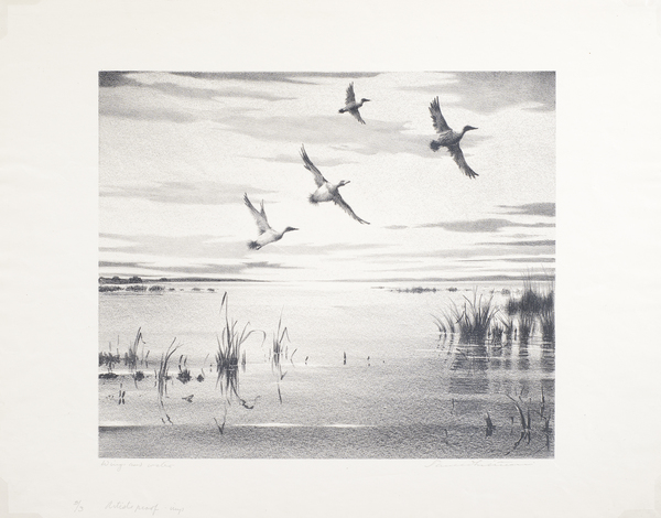Paul Whitman - "Wings and Water" - Stone lithograph - 9 1/2" x 11"